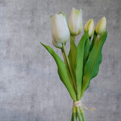 Tulp Tulpen Real Touch WIT Bundel 5st Luxe Siliconen Latex