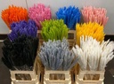 Dried Pampas Fluffy Hot Pink 70 cm 