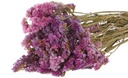 Statice Sinuata Lamsoor droogbloemen Purple/Pink