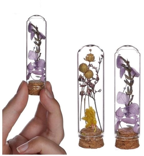 Mini Dome stolpjes gevuld met droogbloemen Ø2 h.7 cm set 6