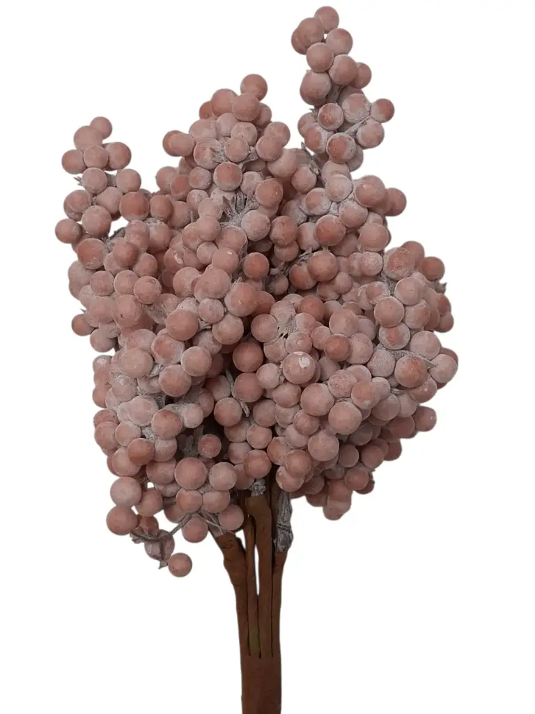 Berrie besjes foam Lichtroze Ice bundel 10 stuks