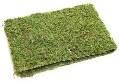 Asia Mosrol Mosmat 120x16 cm