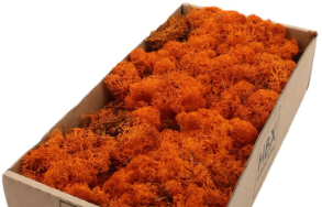 Rendiermos IJslandsmos Finlandsmos Oranje 500 gram