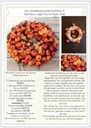 DIY Werkbeschrijving Oranje pompoentjes 