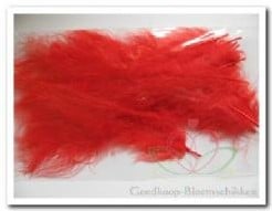 Veren Echte veertjes Rood Dons 10-15 cm 15 stuks