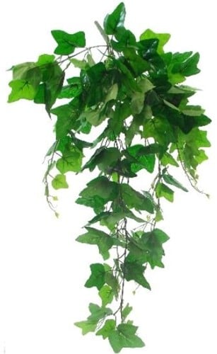 Hedera Groen Zijden Bladeren Hanger vuller