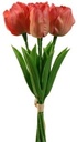 Tulpen Coral Zijden Merk: PURE 33 cm Bundel 5 stuks