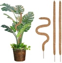Mosstok Kokosstok planten totem Flex 90x4 cm