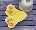 JWS 6823 F1 Bio Butternut Flespompoen 50 zaden