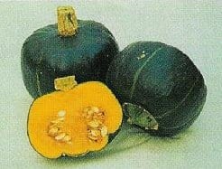 [A-017927] Buttercup pompoen basiseenheid