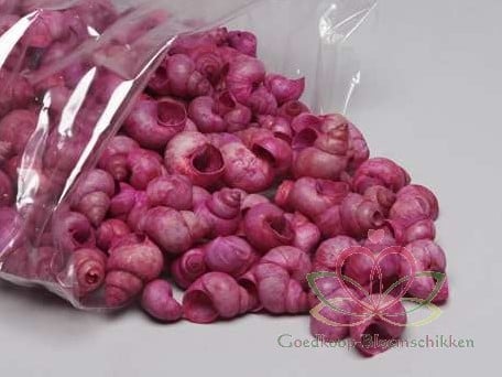 [A-010746] Umachi Schelpen Pink Washed 1 kilo