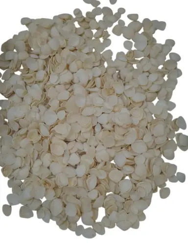 [A-018445] Mini Cockels schelpjes Witte Margot 1500 gram