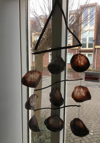 [A-022143] Schelpenhanger Placuna geboord Lianter 30 cm