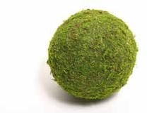 [A-022984] Bol mos Bal mos Asiamos mosbal 10 cm