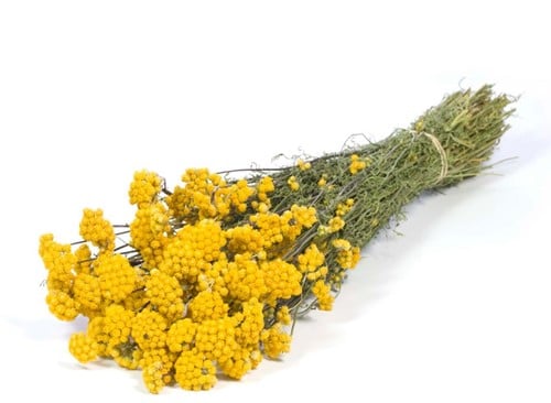 [A-019163] Lona Yellow Droogbloem bundel