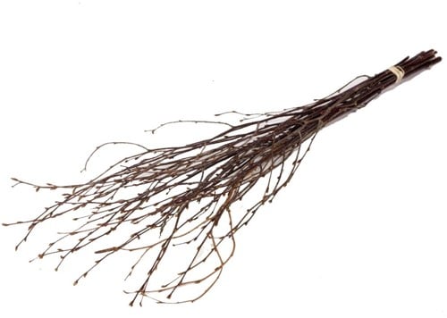 [A-019505] Berkentakken Birch Naturel ca. 60 cm 10 stuks