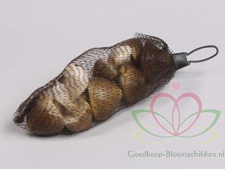 [A-011379] Paddenstoelen Groen net 8 stuks