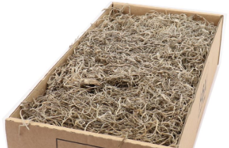 [A-005581] Tillandsia Junglemos Spaansmos Forestmos Naturel 200–350 gram