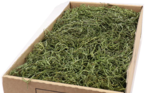 [A-014853] Tillandsia Spaansmos Forestmos Mosgroen 300–350 gram gepreserveerd