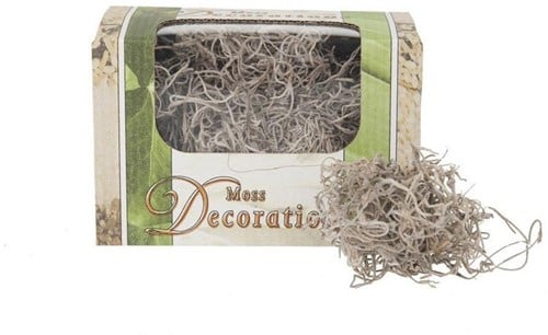 [A-021040] Tillandsia Junglemos Spaansmos Forestmos Naturel 50 gram