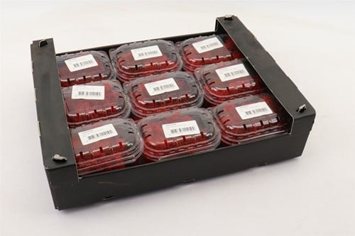 [A-022069] Rendiermos IJslandsmos Finlandsmos Rood 30 gram