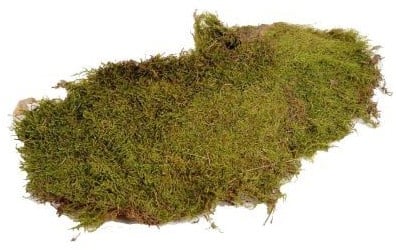 [A-022591] Mos Platmos Gedroogd houdbaar 600 gram