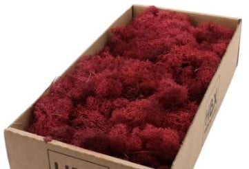 [A-022636] Rendiermos IJslandsmos Finlandsmos Bordeaux 500 gram