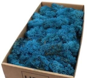 [A-022637] Rendiermos IJslandsmos Finlandsmos Blauw 500 gram