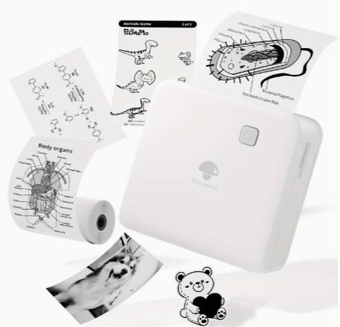 [A-025924] Mini Fotoprinter zwartWit Labelprinter Labelmaker Wit Phomemo M02PRO 300DPI incl software / st 