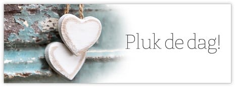 [A-012497] Bloemenkaartje Pluk de dag! kaartje voor bloemstukken en boeketten