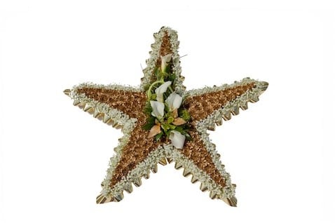 [A-004051] OASIS® Bioline Ster 20 × 20 × 4,5 cm oase voor verse bloemen