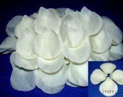 [A-007274] Blad Zijden blaadjes rozenblaadjes Ivory bigpack 1000