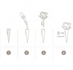 [A-007423] Corsagehouder Boutonnière Flowerdarte Goud doos 10 stuks