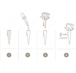 [A-007428] Corsagehouder Boutonnière Flowerdarte Goud per stuk