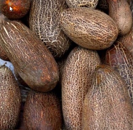 [A-000835] Sikkim pompoen 100 zaden