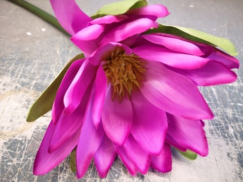 [A-013929] Real Touch Waterlelie Purple per stuk