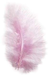 [A-004502] Veren Echte veertjes Roze 8 cm 10 stuks