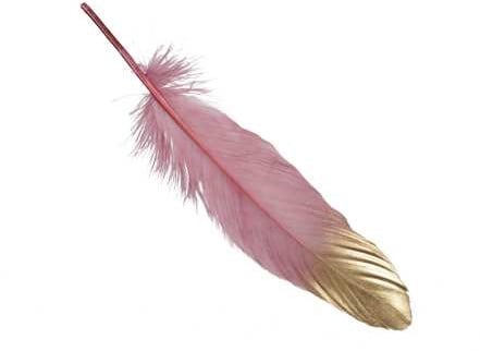 [A-023237] Penveren Echte veertjes Roze Goud dip 18-20 cm doos 24 stuks
