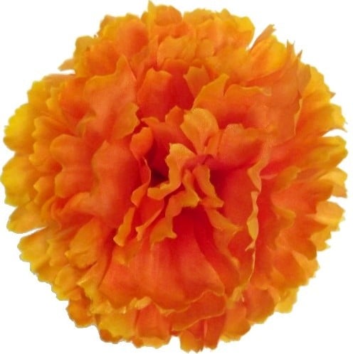 [A-024540] Anjerpick Oranje Zijdenbloem per stuk