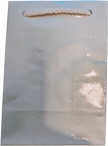 [A-025349] Bloementasje geschenktas Zilver semi waterafstotend 14x10x6 cm