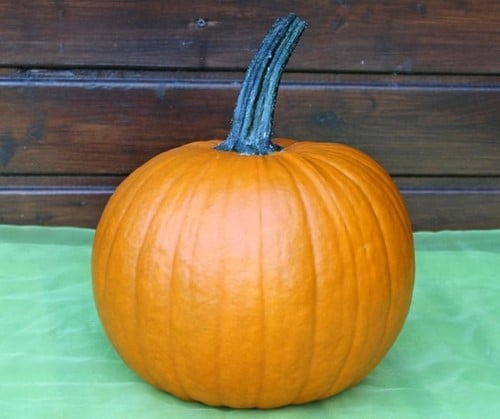 [A-023692-2] Hermes F1 PMT halloweenpompoen kleinverpakking