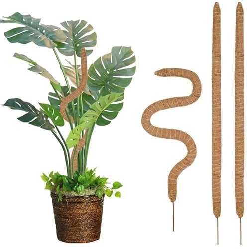 [A-024105] Mosstok Kokosstok planten totem Flex 90x4 cm