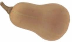 [A-018100] Ponca Butternut pompoen basiseenheid zaden