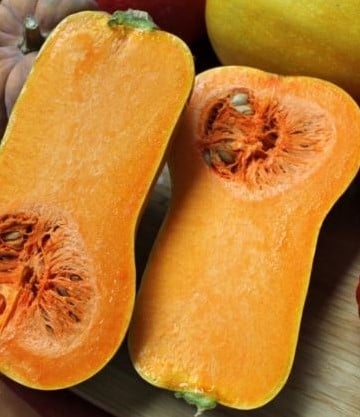 [A-023690-5] Butternut Helviz F1 Hoogproductive flespompoen 1000 zaden