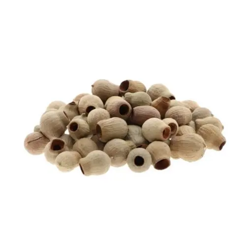 [A-027904] Eucalyptus Bells Zaaddozen Los 500 gram